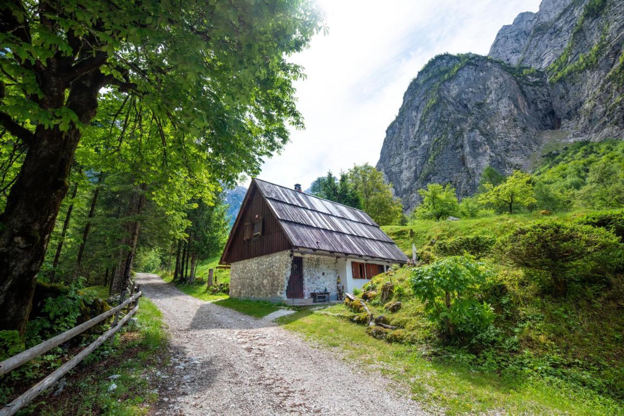 Vila Fairy Tale House Trenta Exteriér fotografie