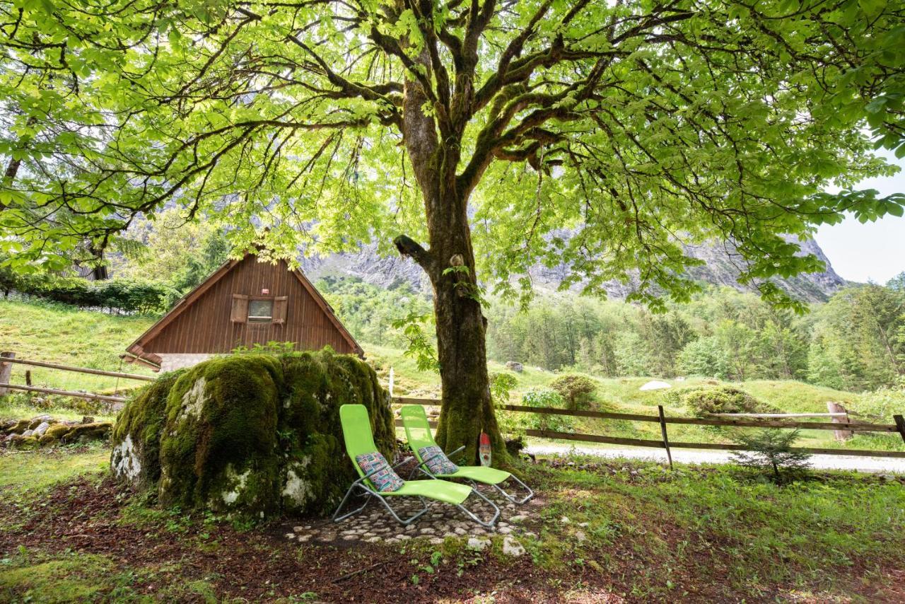 Vila Fairy Tale House Trenta Exteriér fotografie